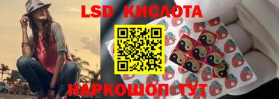 спайс Аргун