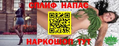 спайс Аргун