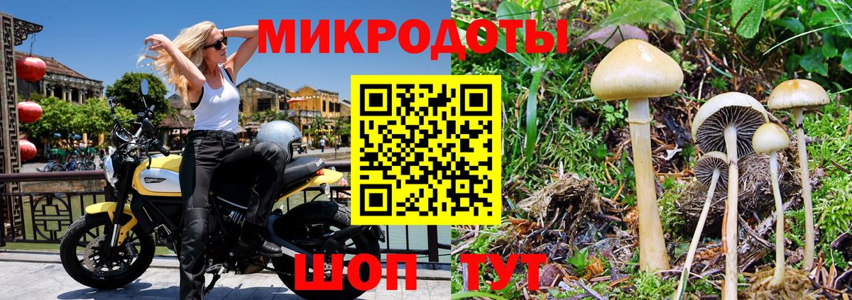 Галлюциногенные грибы Psilocybine cubensis  как найти наркотики  Баксан  Вход с VPN 