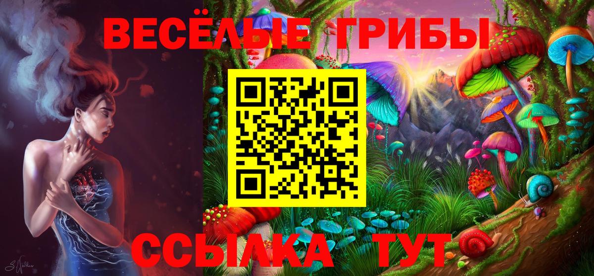 Псилоцибиновые грибы Cubensis Баксан