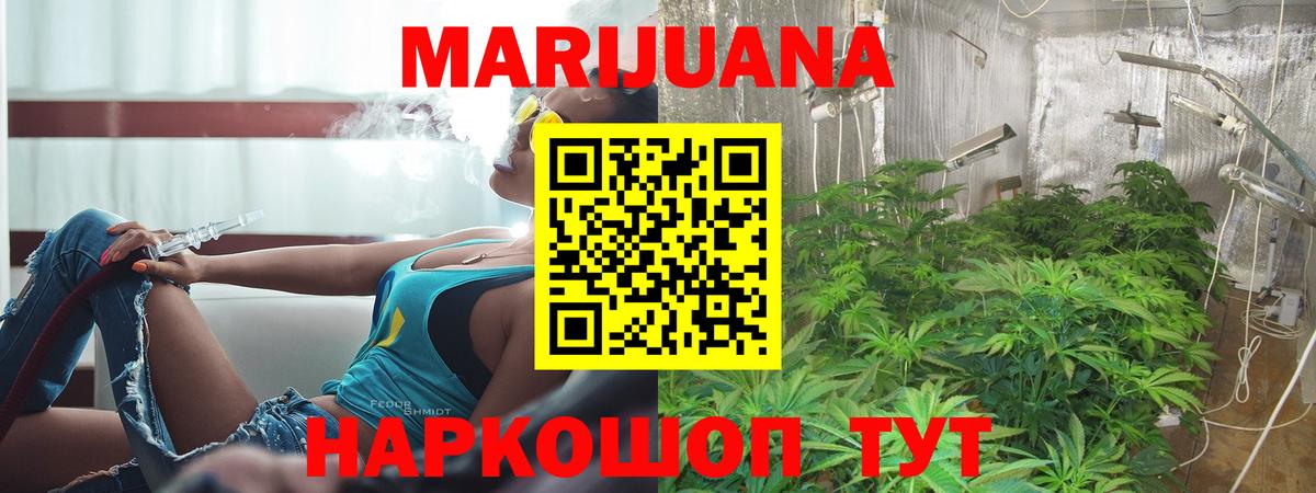 Марихуана тримм  Конопля тримм  Вход с VPN  Марихуана Bruce Banner  Баксан 
