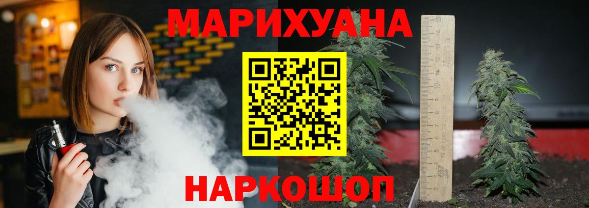 Канабис планчик Баксан